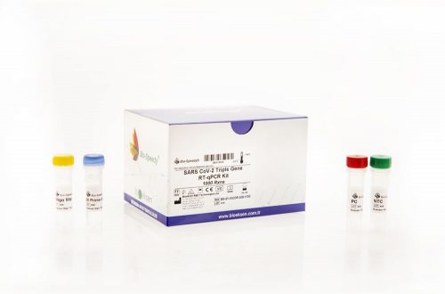 Bio-speedy SARS CoV-2 Triple Gene RT-qPCR