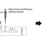 BIOSYNEX COVID-19 RAPID TEST 2 covid-19-test
